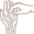circulation2